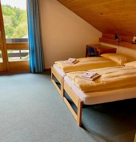 Haslibergoase Hotel Hasliberg