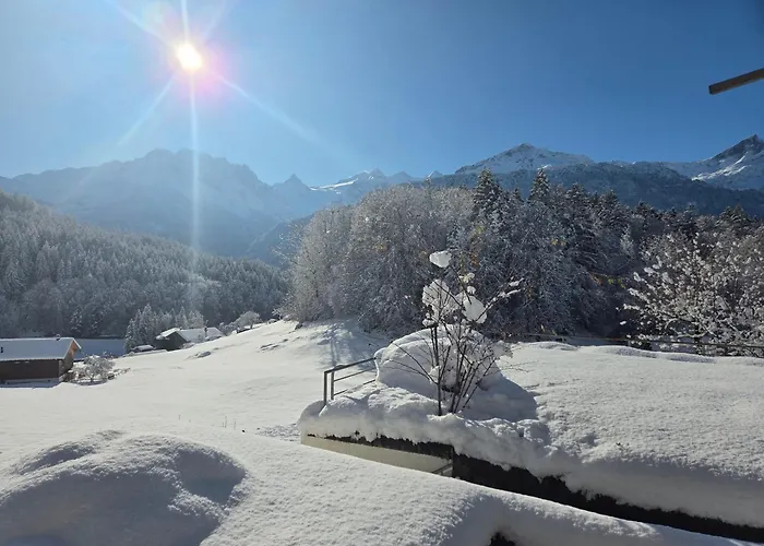 Haslibergoase Hotel Hasliberg